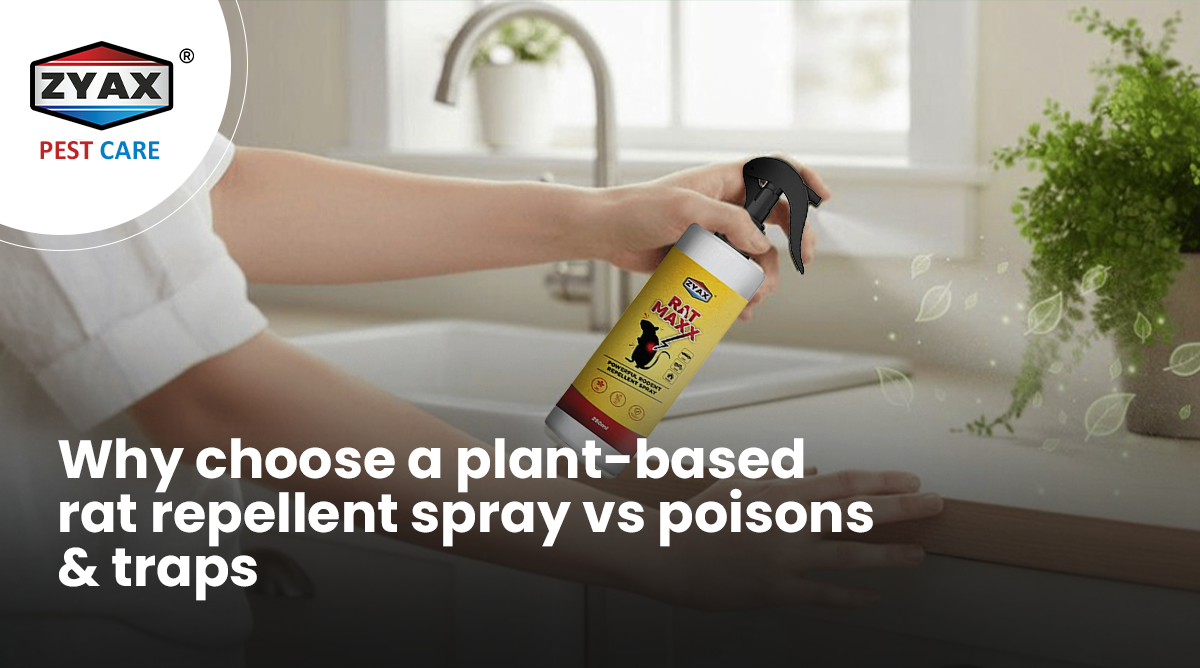 Plant-based rat repellent spray compared with poisons and traps