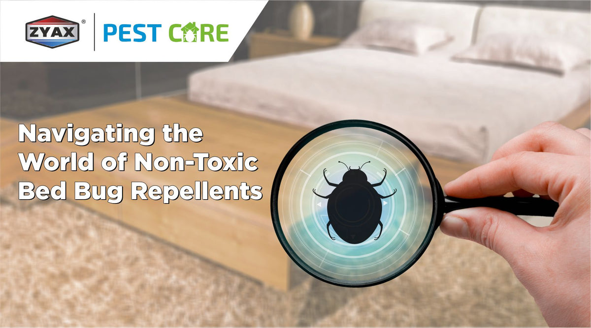 Non-toxic bed bug repellents for the home