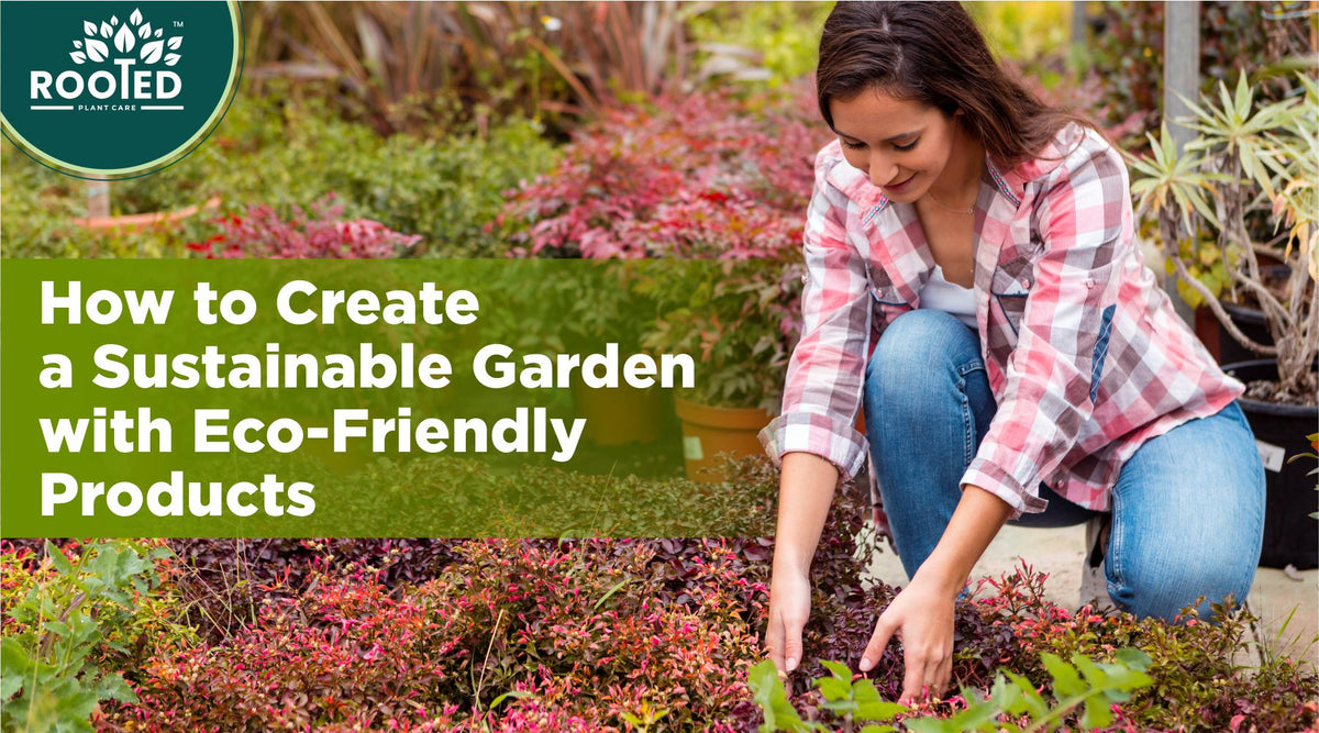 Creating a sustainable garden with eco-friendly products