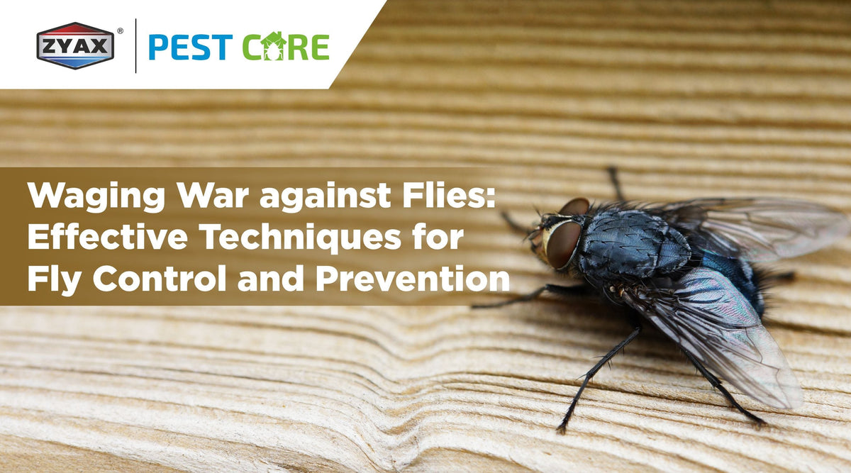 Techniques for fly control and prevention at home