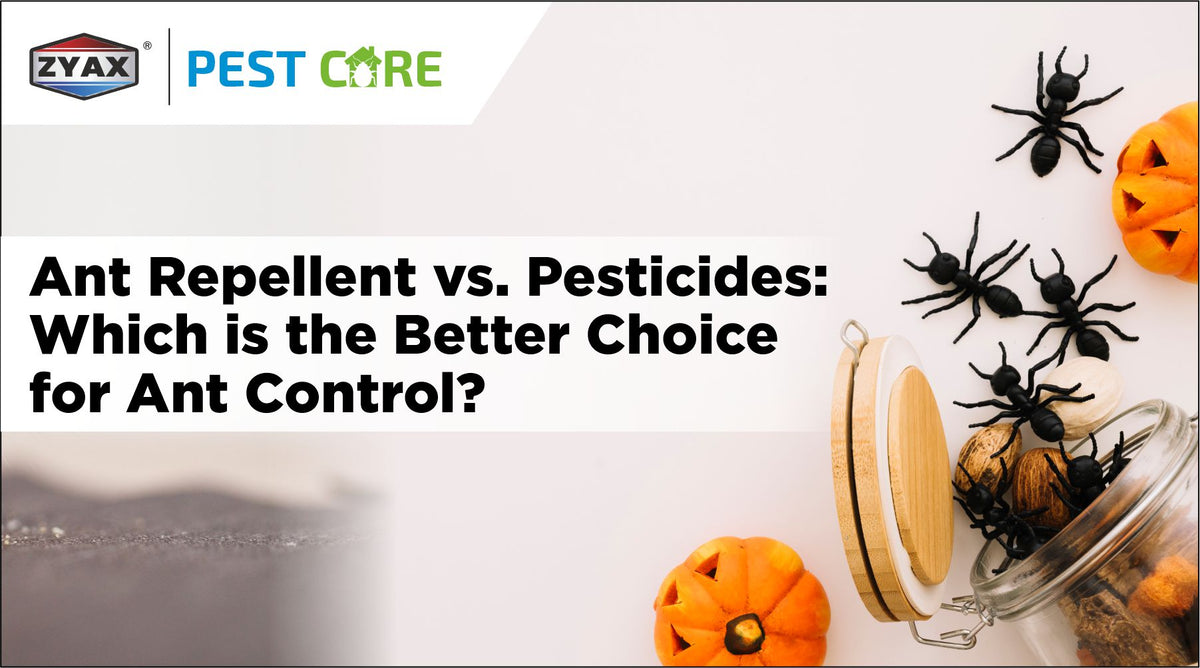Ant control using repellent compared with pesticides