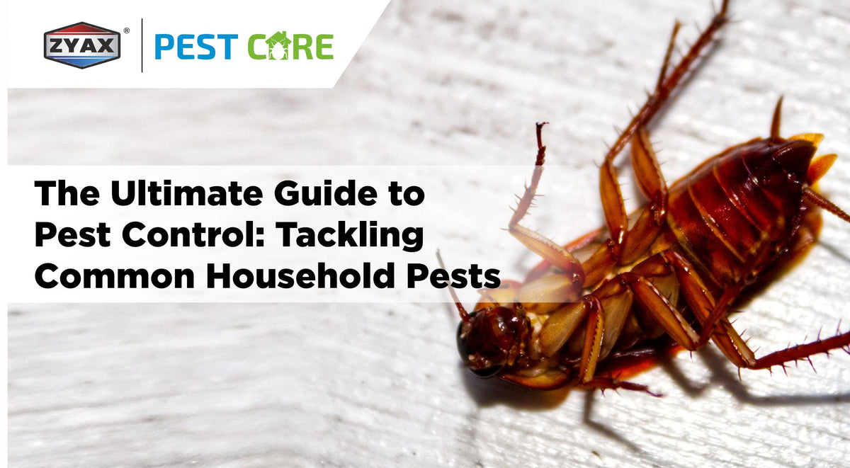 Guide to controlling common household pests