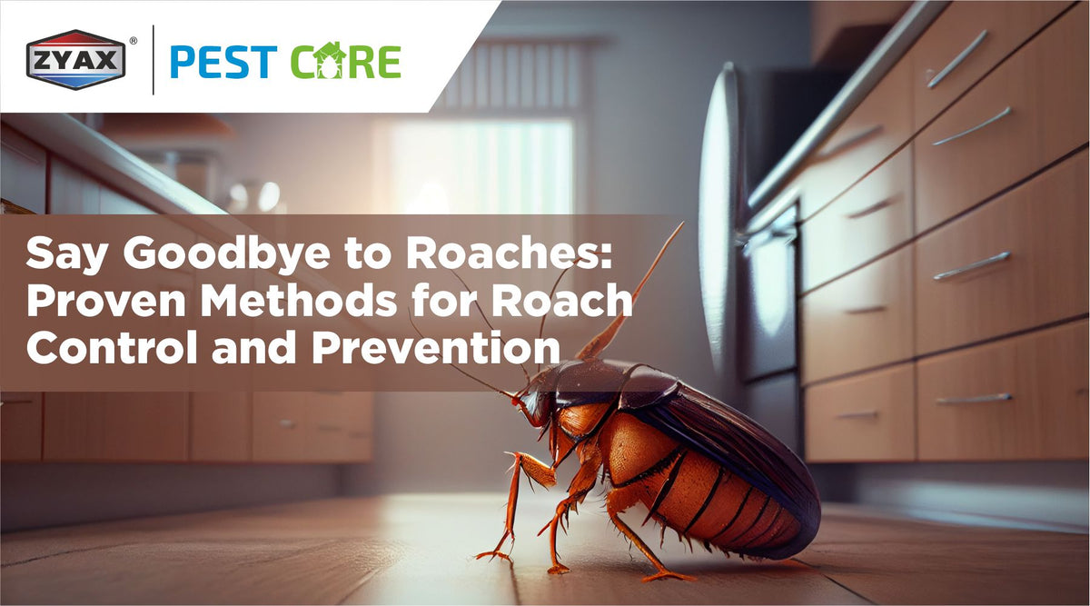 Cockroach repellent spray and control methods