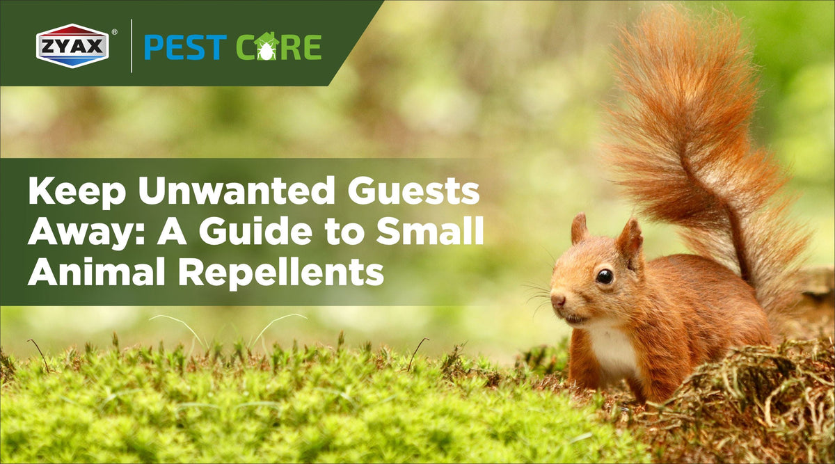 Guide to repelling small animals from homes and gardens