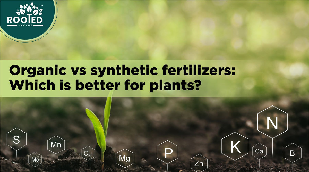Organic and synthetic fertilizers compared for plants