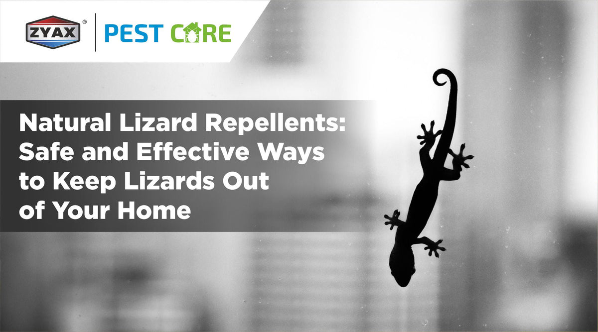 Natural lizard repellent spray to keep lizards out of the home