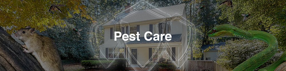 Pest Repellent & Insect Sprays