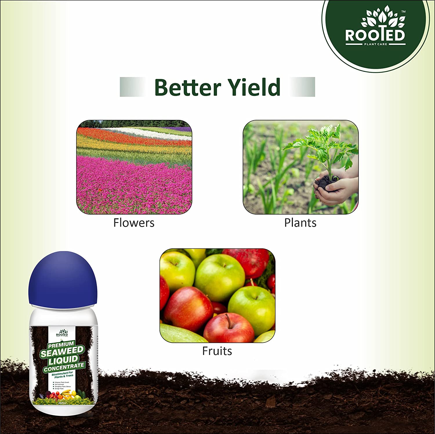 Rooted Premium Seaweed Liquid Concentrate - Natural Fertilizer - Zyax.in