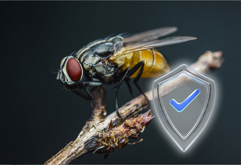 Feature Image