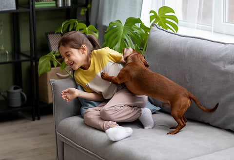 Feature Image