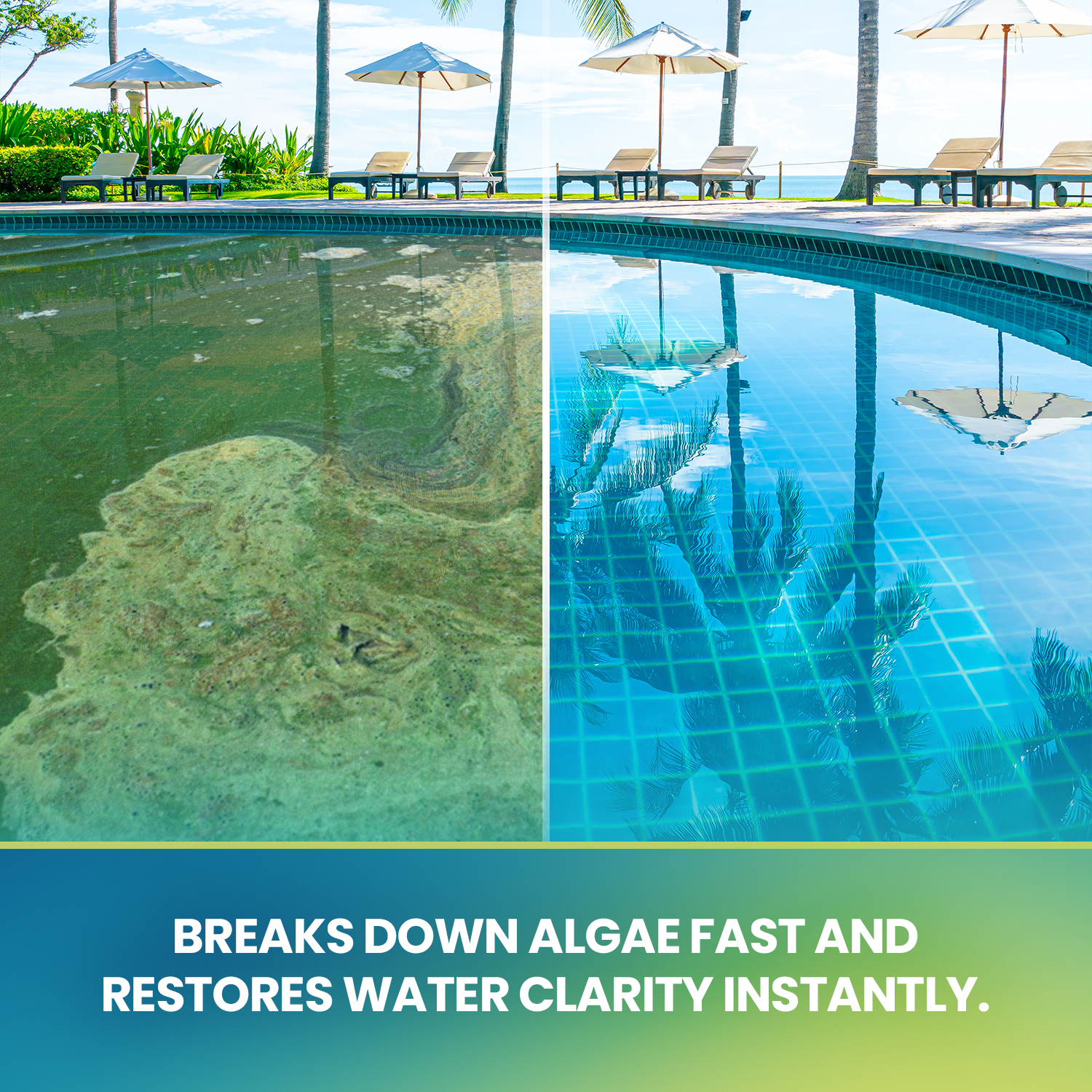 Pool Maxx Algo Pro - breaks down algae