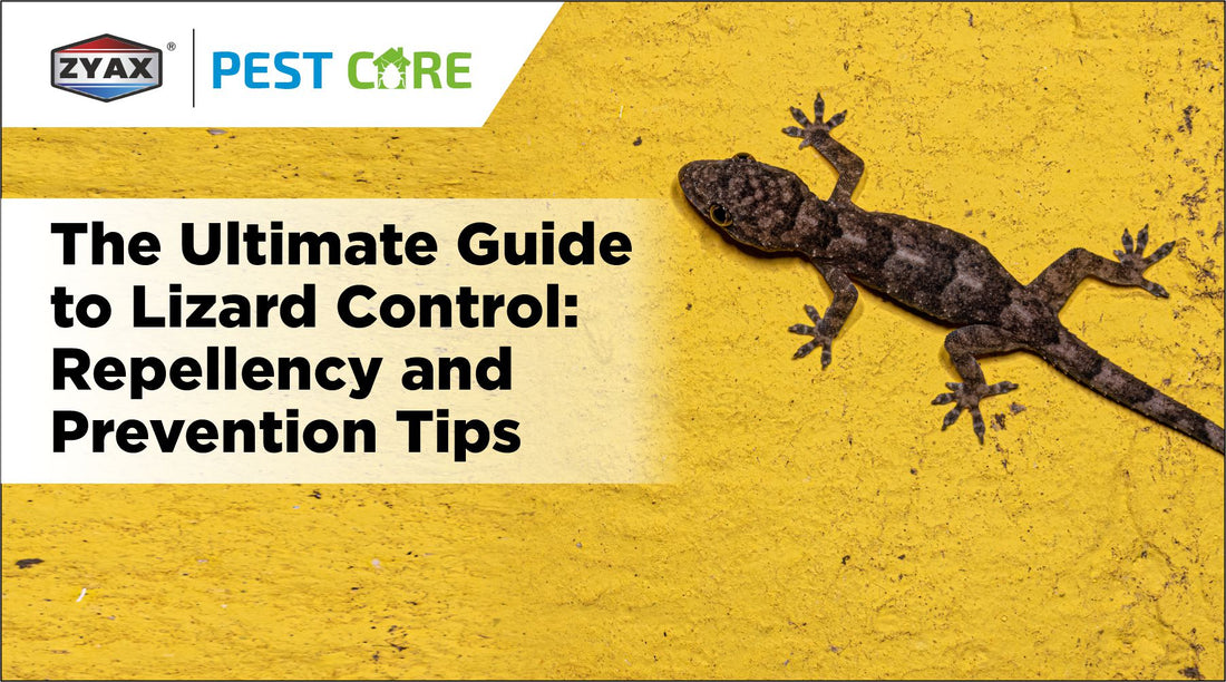 Ultimate Lizard Control Guide: Repellency & Prevention