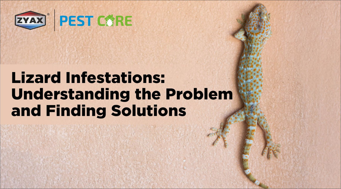 Lizard Infestations: Understanding the Problem and Finding Solutions
