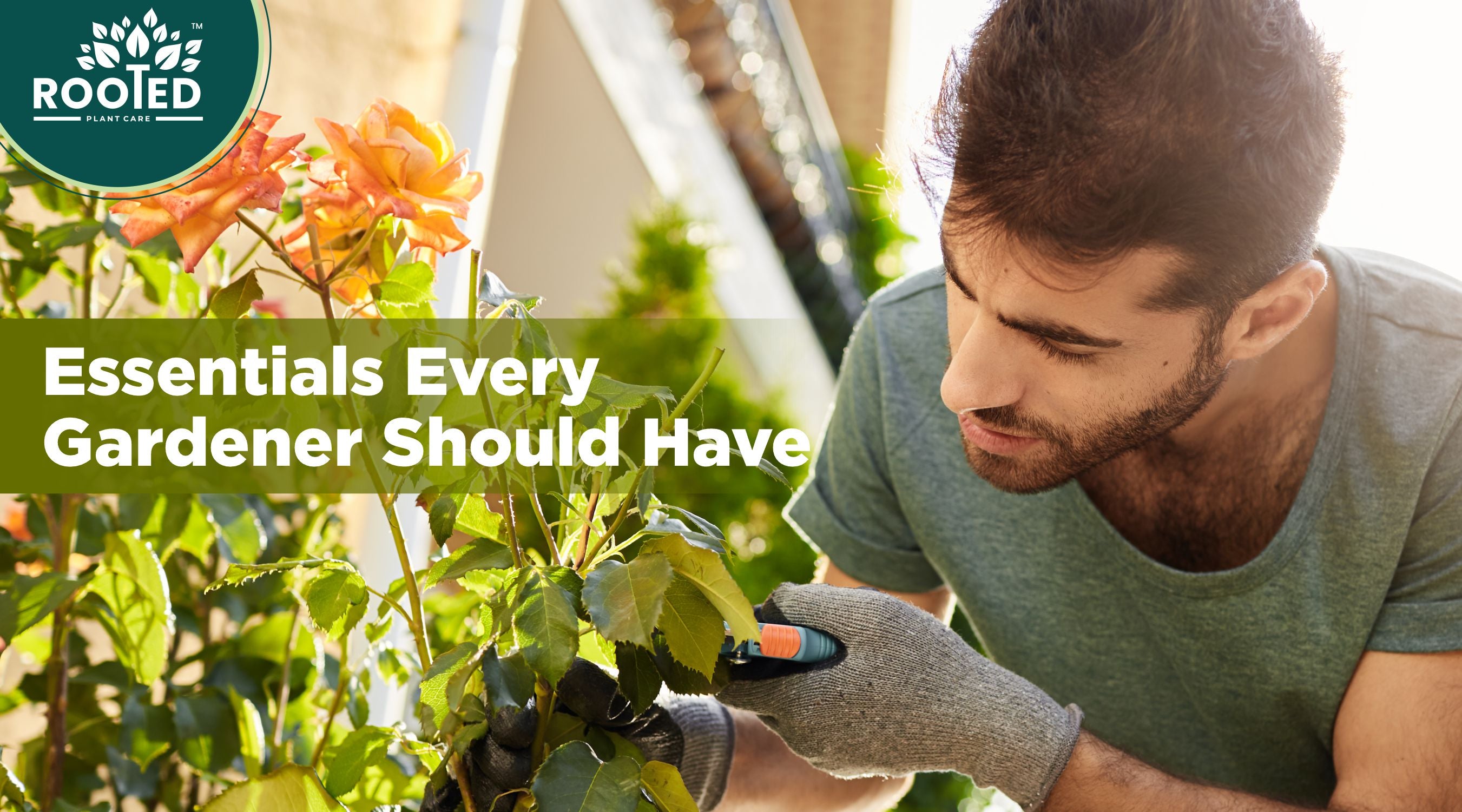 5 Essentials Every Gardener Should Have