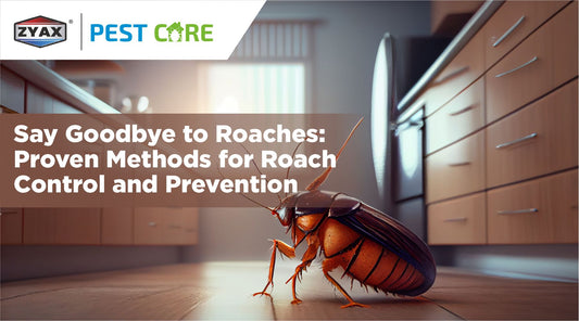 Say Goodbye to Roaches: Proven Methods for Roach Control & Prevention