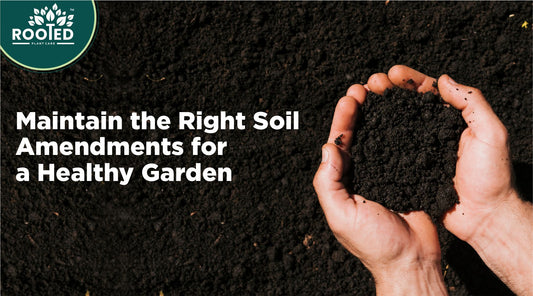 Images shows how to maintain the right soil amendments for a healthy garden