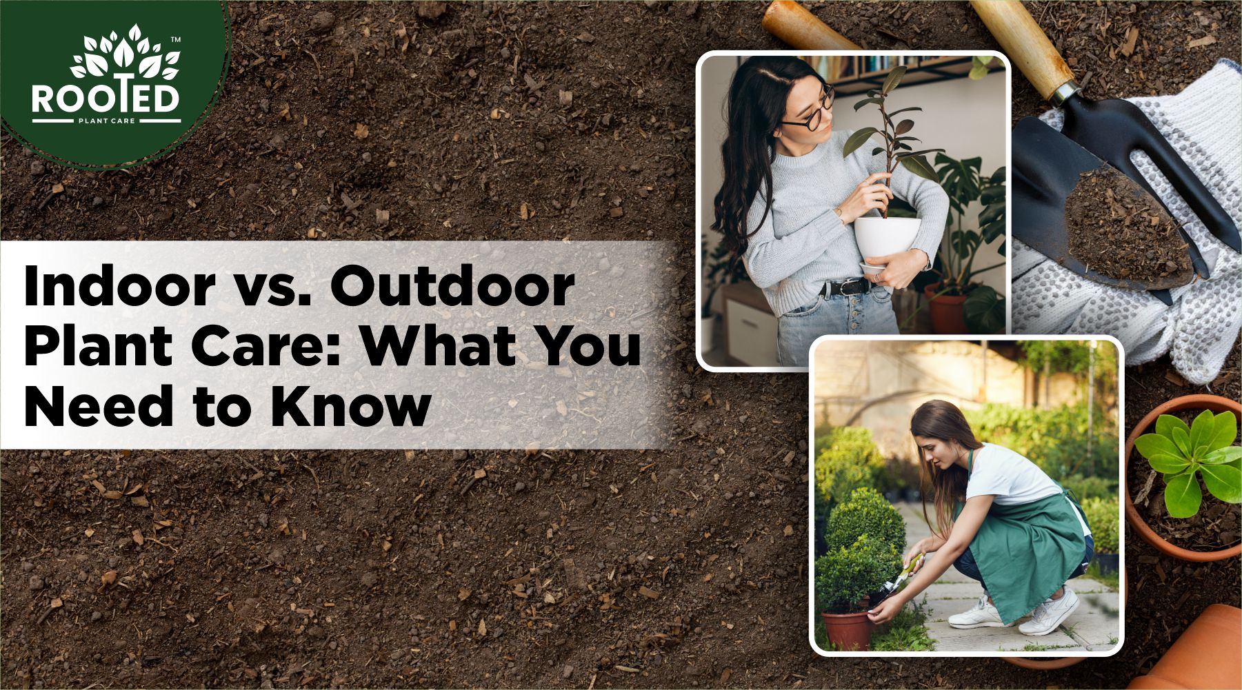 Indoor vs. Outdoor Plant Care: What You Need to Know