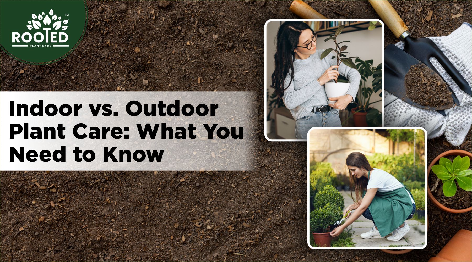 Indoor vs. Outdoor Plant Care: What You Need to Know