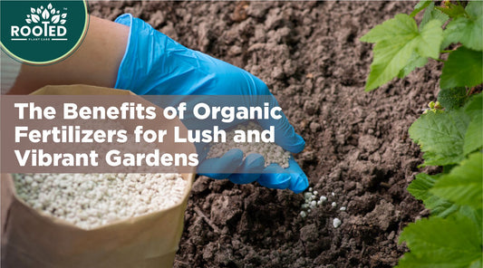 The Benefits of Organic Fertilizers for Lush and Vibrant Gardens