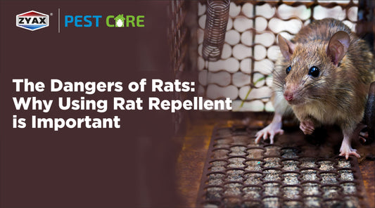 The Dangers of Rats: Why Using Rat Repellent is Important