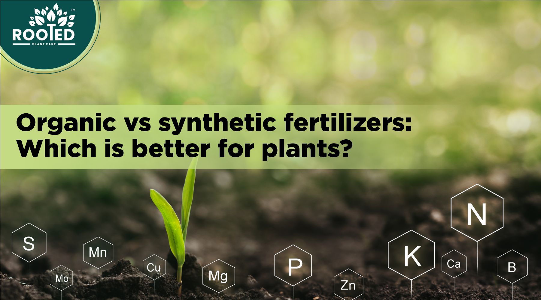 Organic vs synthetic fertilizers: Which is better for plants?