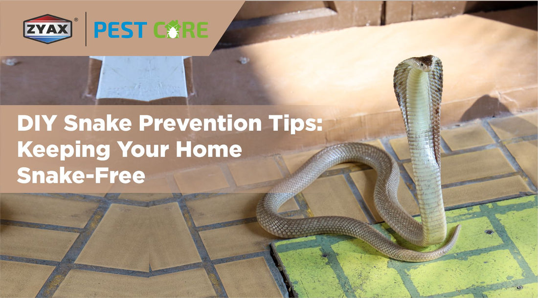 DIY Snake Prevention Tips: Keeping Your Home Snake-Free