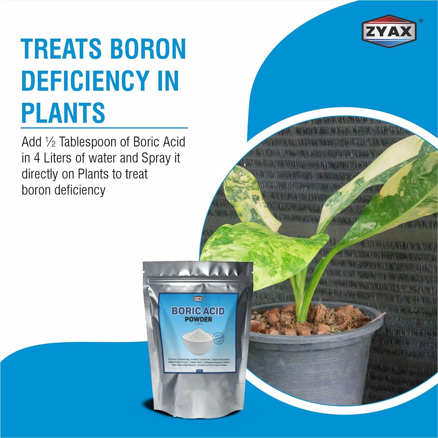 ZYAX Boric Acid Powder