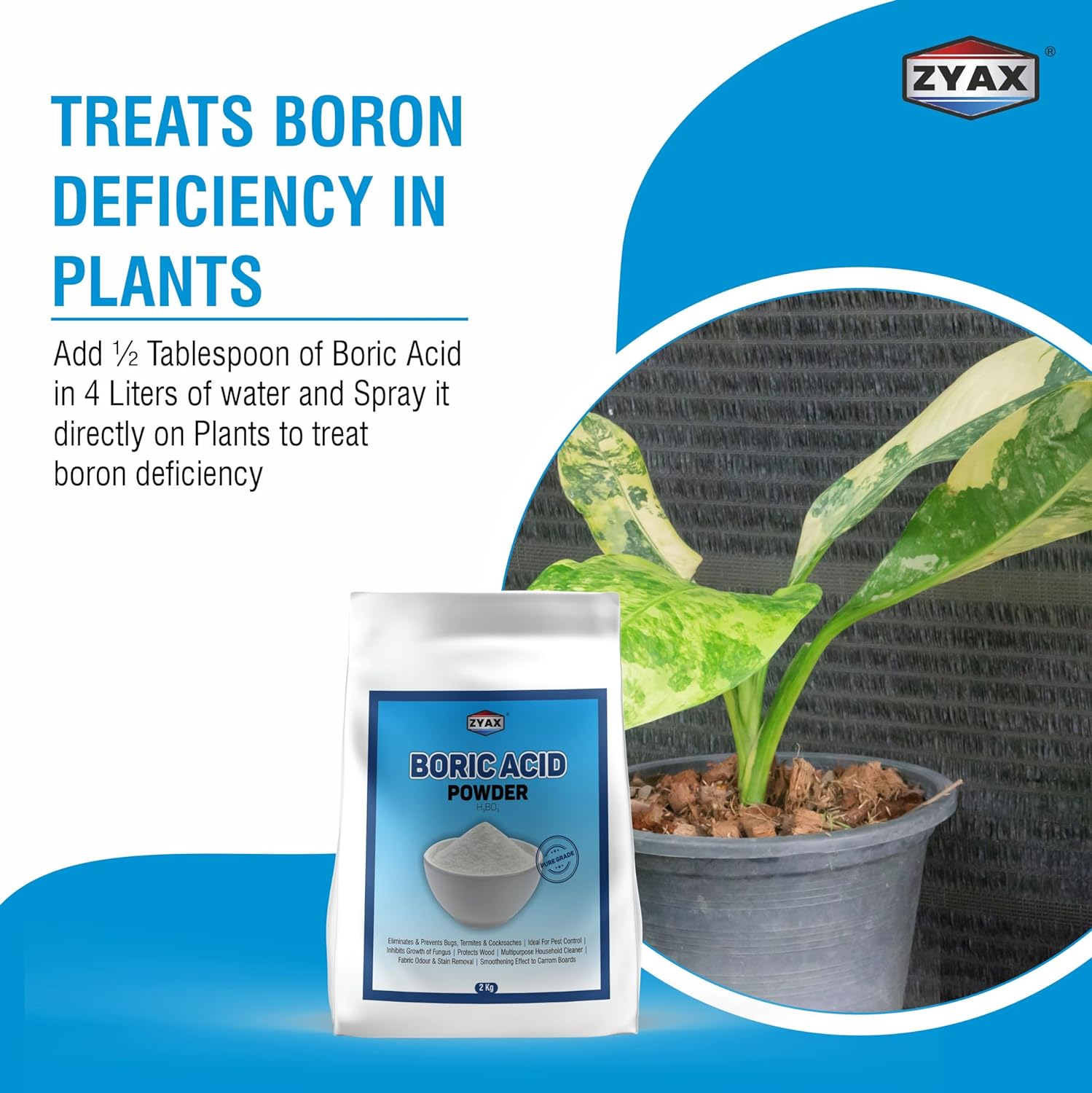 ZYAX Boric Acid Powder