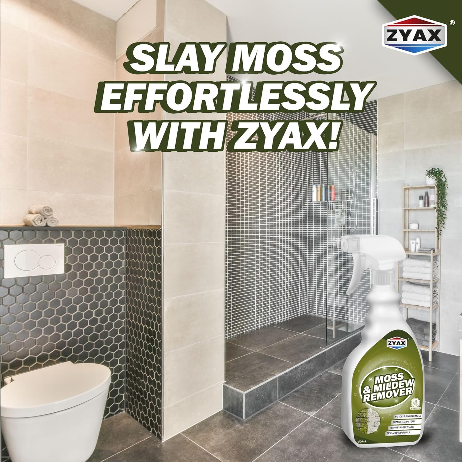 Zyax Moss & Mildew Remover Spray