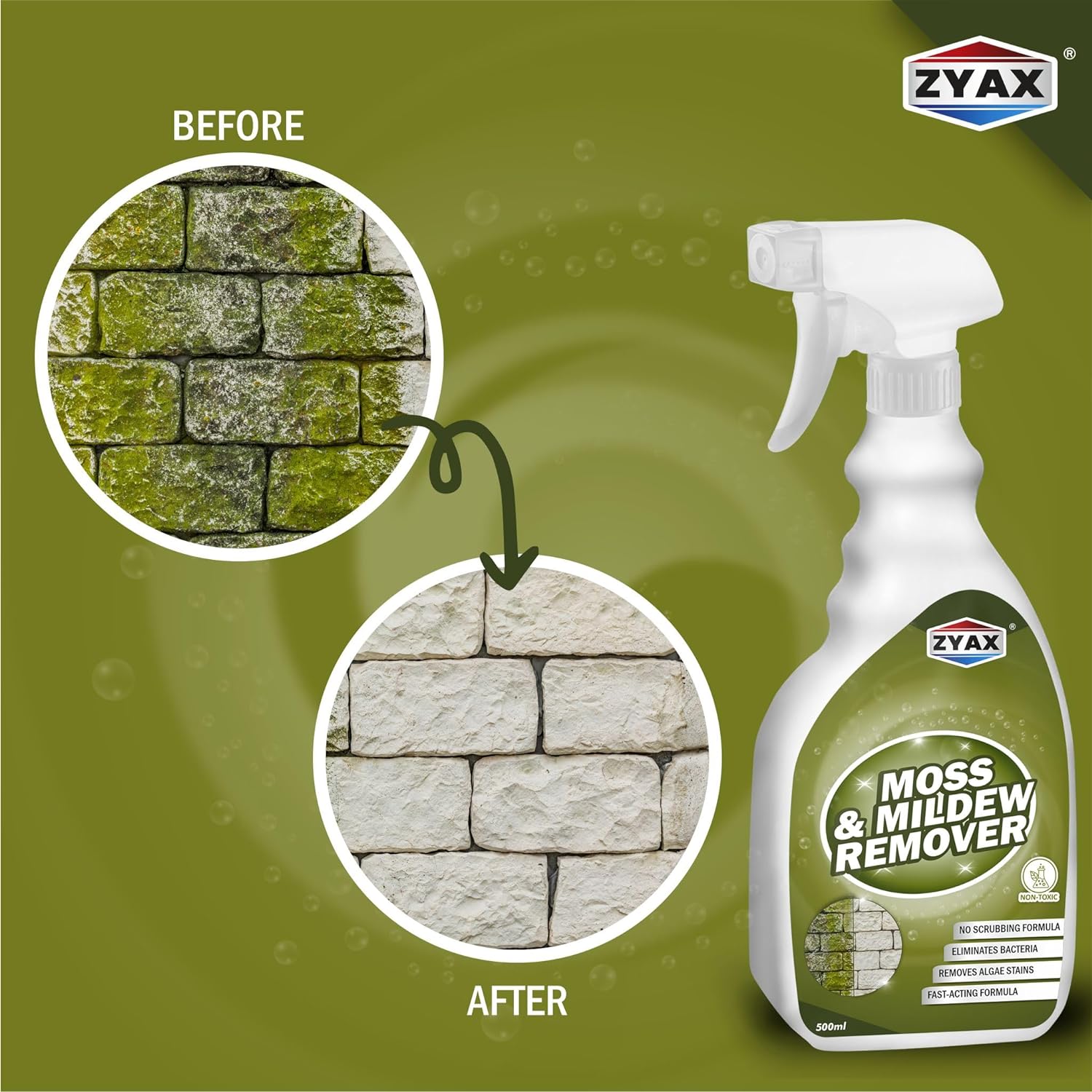 Zyax Moss & Mildew Remover Spray