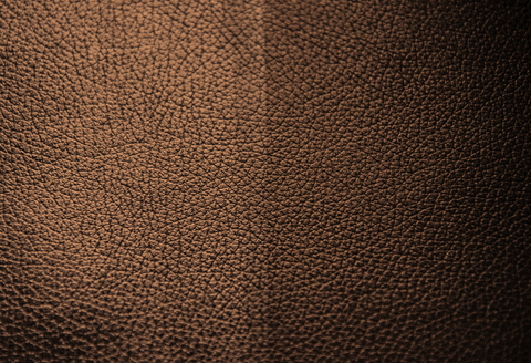 Feature Image