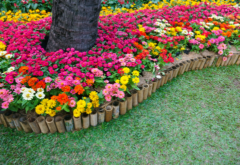 application Image2