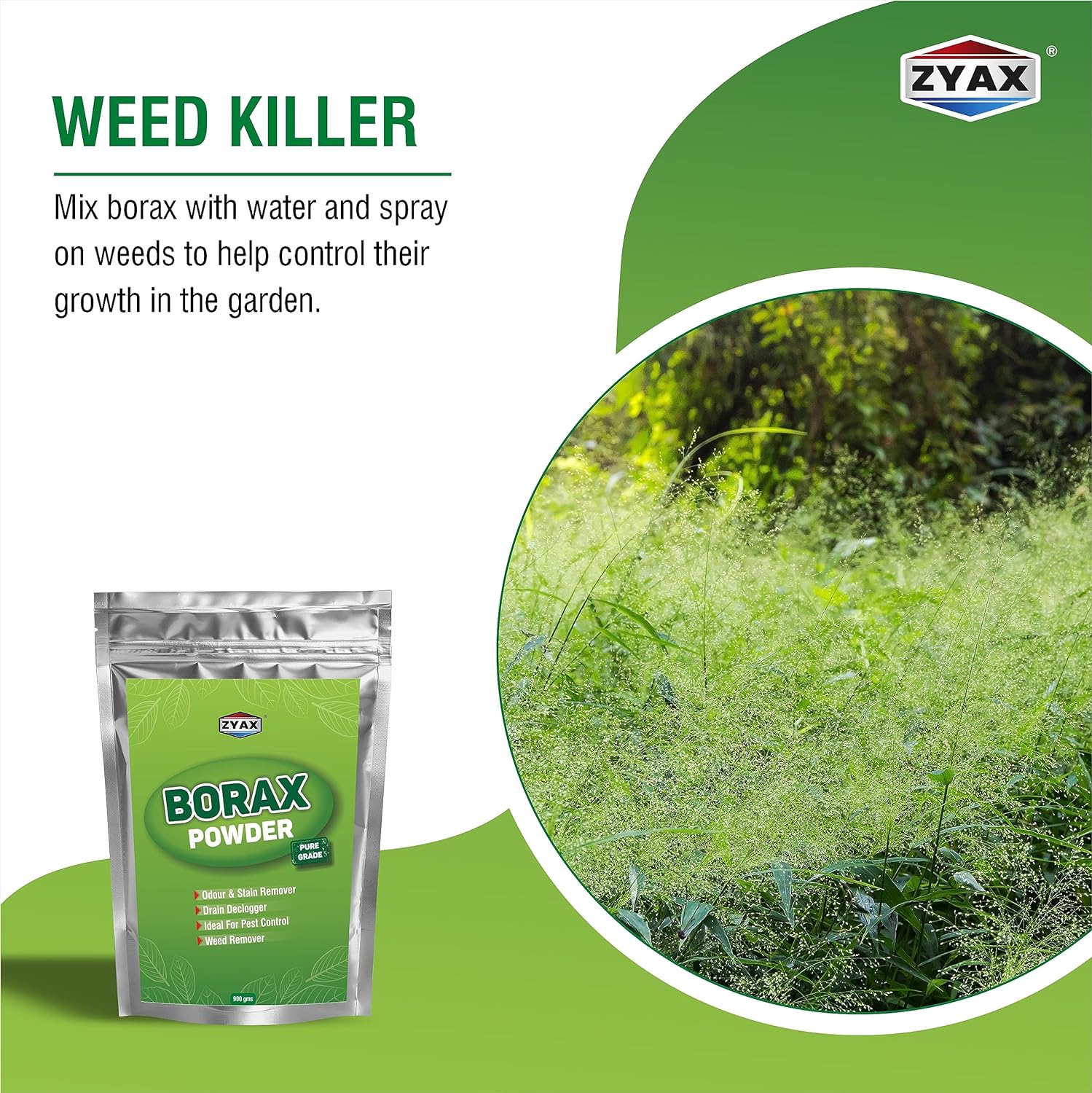 ZYAX Borax Powder