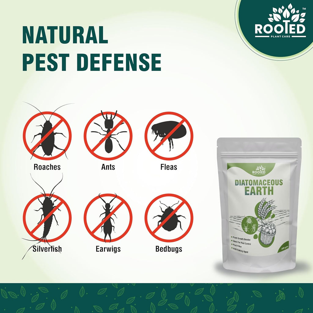 Dis Chem Root Powder Rooted Diatomaceous Earth Powder