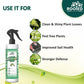 Rooted Neem Oil Spray - Natural Pesticide