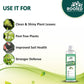 Rooted Neem Oil Concentrate