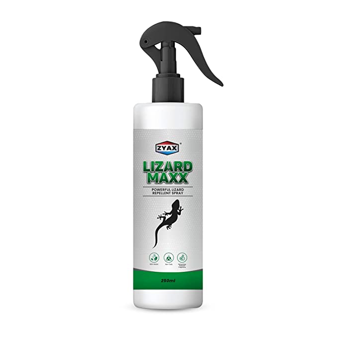 Zyax Lizard Maxx - Non Toxic Lizard Repellent 250ml - Zyax.in