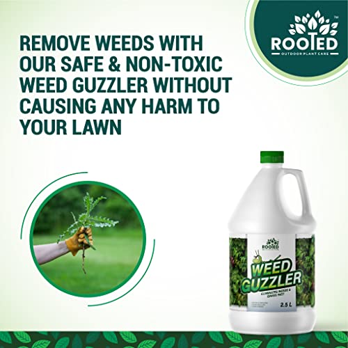 Rooted Weed Guzzler 2.5 Litres - Weed Killer - Zyax.in