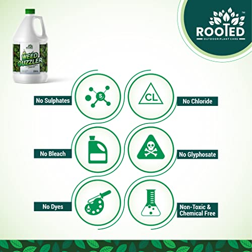 Rooted Weed Guzzler 2.5 Litres - Weed Killer - Zyax.in