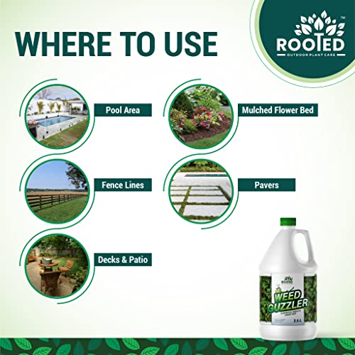 Rooted Weed Guzzler 2.5 Litres - Weed Killer - Zyax.in