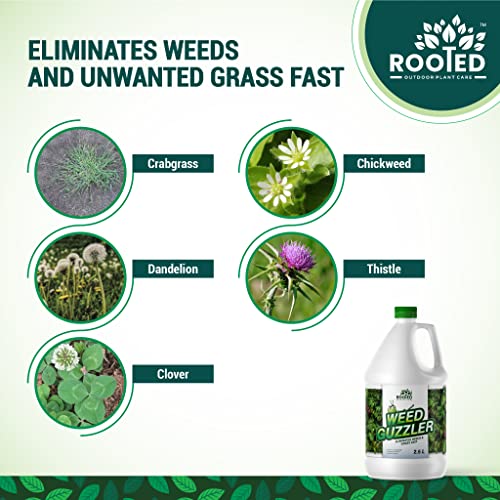 Rooted Weed Guzzler 2.5 Litres - Weed Killer - Zyax.in
